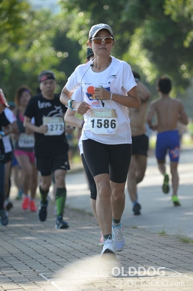 Heifer10 (226)
