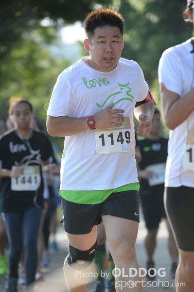 Heifer10 (227)