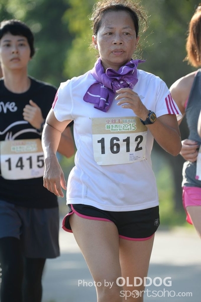 Heifer10 (231)