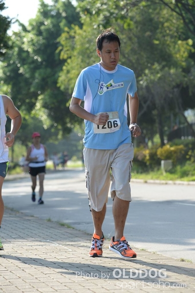 Heifer10 (255)