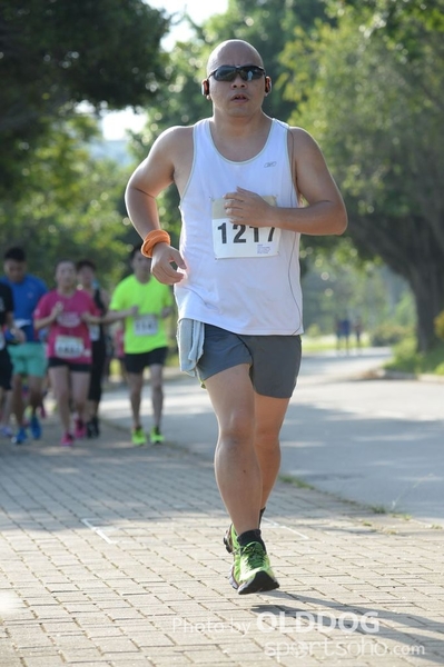 Heifer10 (256)