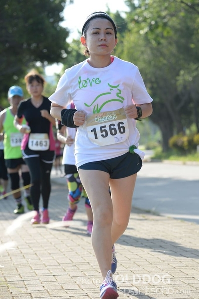 Heifer10 (261)
