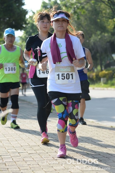 Heifer10 (262)