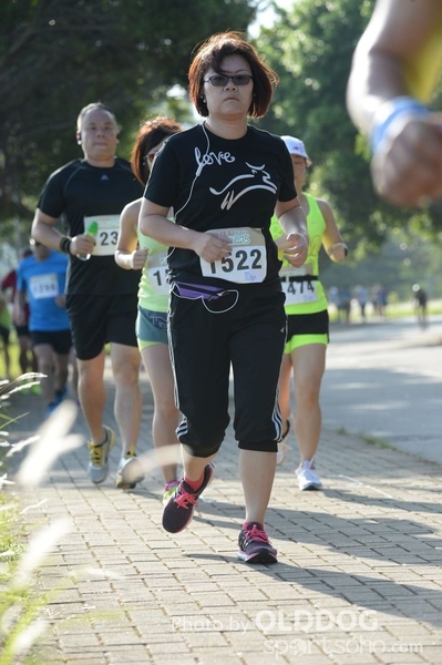Heifer10 (265)