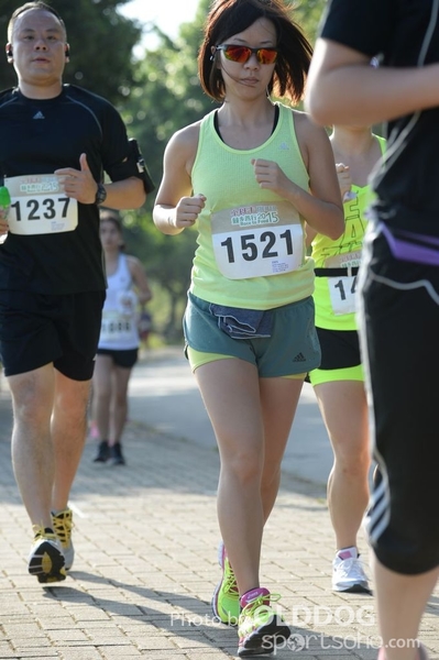 Heifer10 (266)
