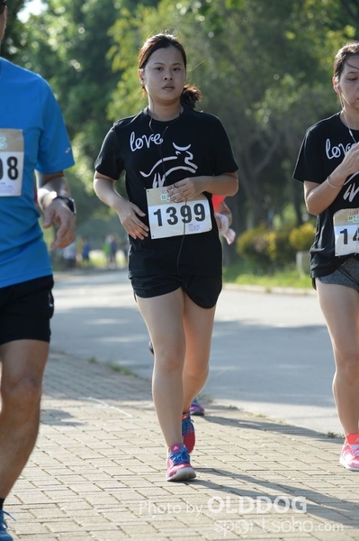 Heifer10 (270)