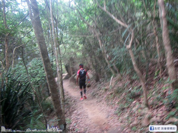 20151108_tam2gogo_137