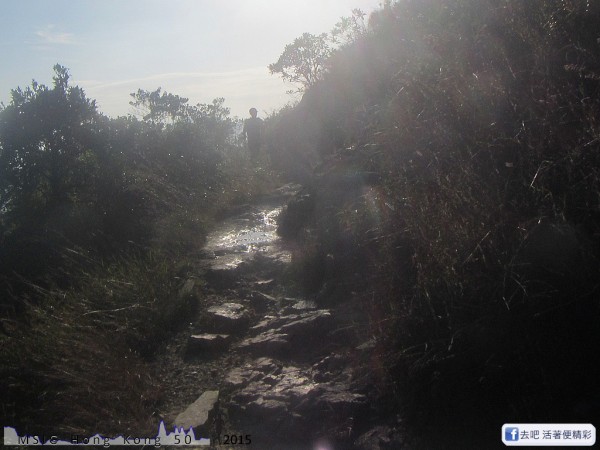 20151108_tam2gogo_202