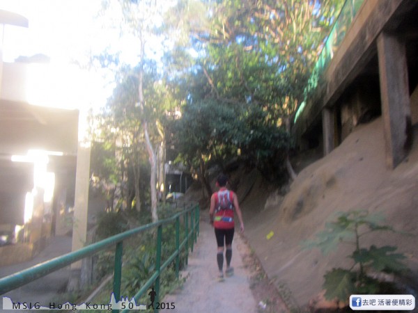 20151108_tam2gogo_211