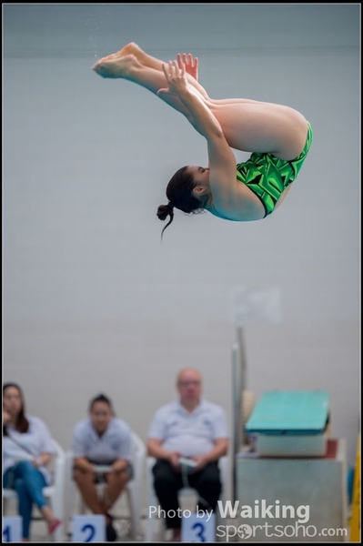 2015-11-14 Diving 0019