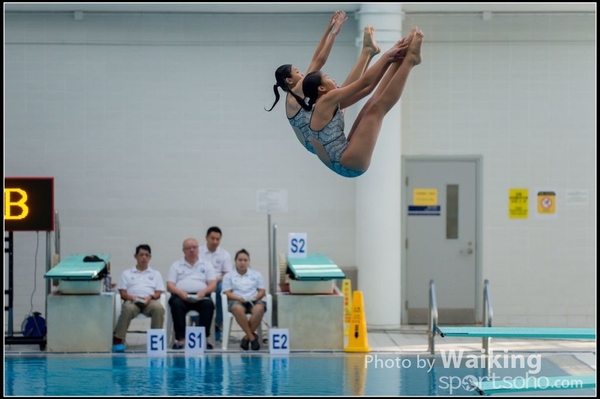 2015-11-14 Diving 0093