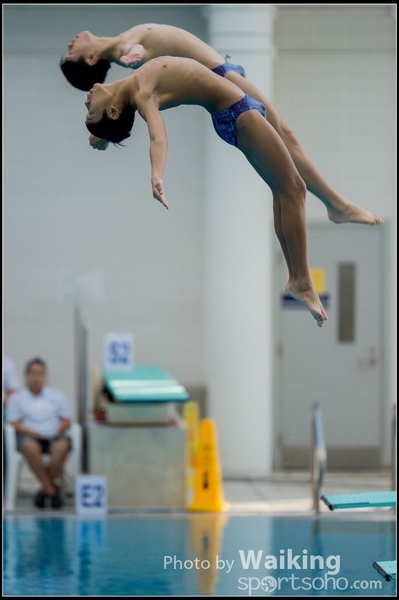 2015-11-14 Diving 0096