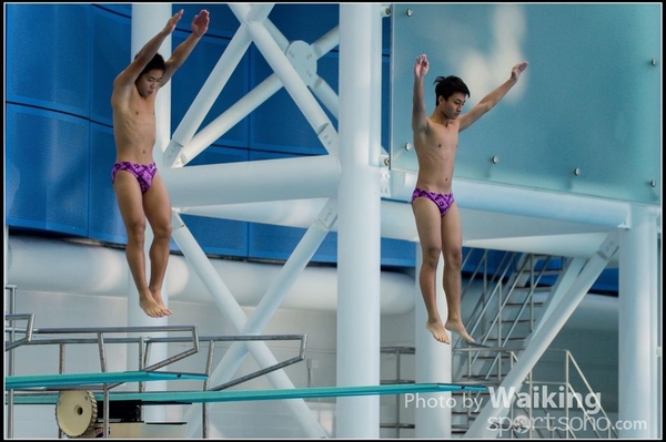 2015-11-14 Diving 0105