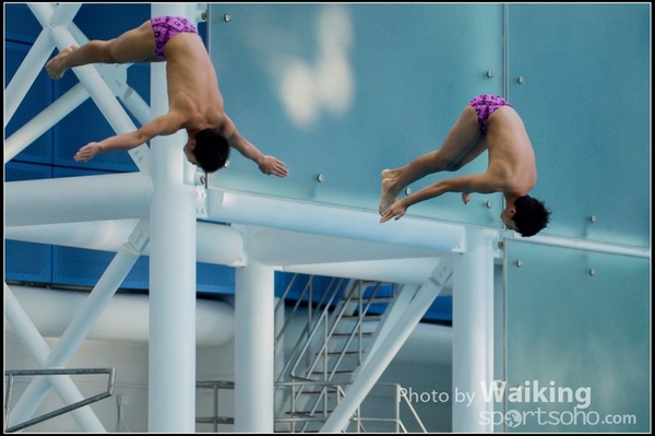2015-11-14 Diving 0106