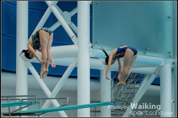 2015-11-14 Diving 0131