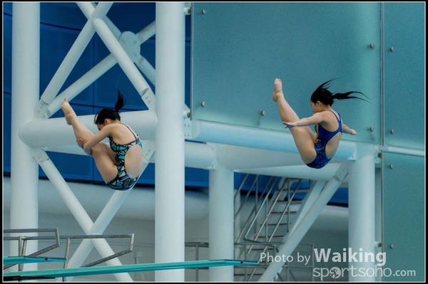 2015-11-14 Diving 0132