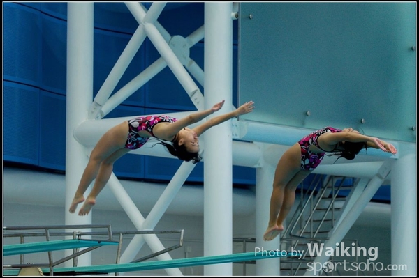 2015-11-14 Diving 0137