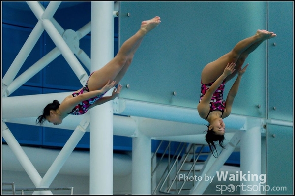 2015-11-14 Diving 0138