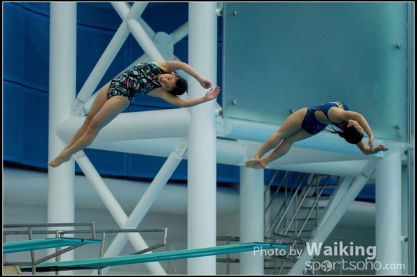 2015-11-14 Diving 0139
