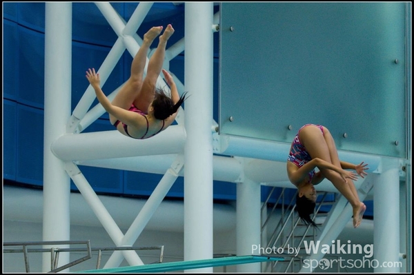 2015-11-14 Diving 0140