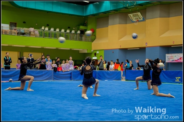 2015-11-15 Team 0110