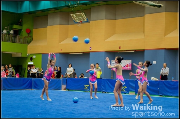 2015-11-15 Team 0113