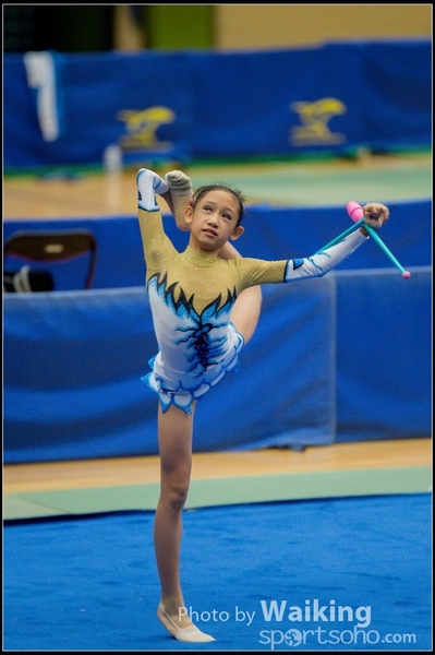 2015-11-15 Sticks 0009