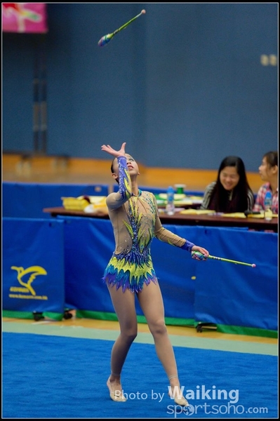 2015-11-15 Sticks 0011