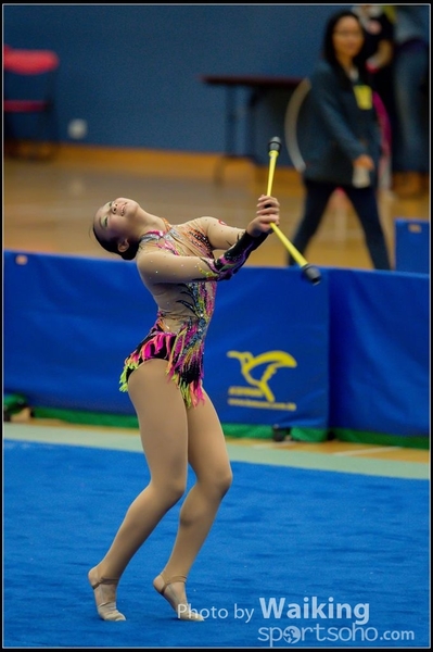 2015-11-15 Sticks 0078