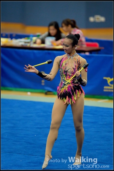 2015-11-15 Sticks 0079