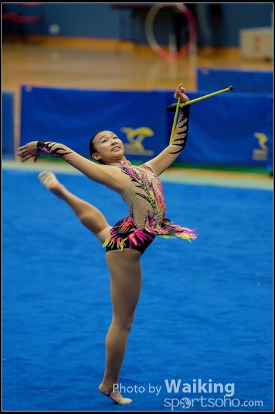 2015-11-15 Sticks 0086