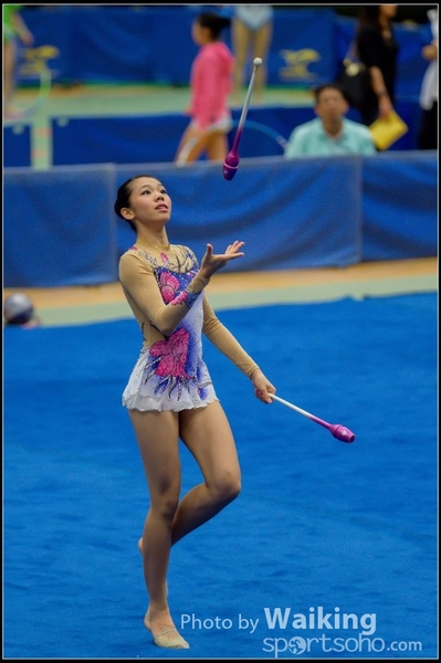 2015-11-15 Sticks 0112