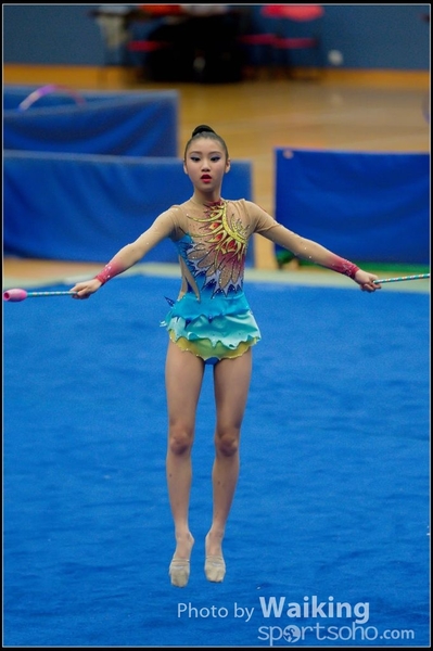 2015-11-15 Sticks 0115