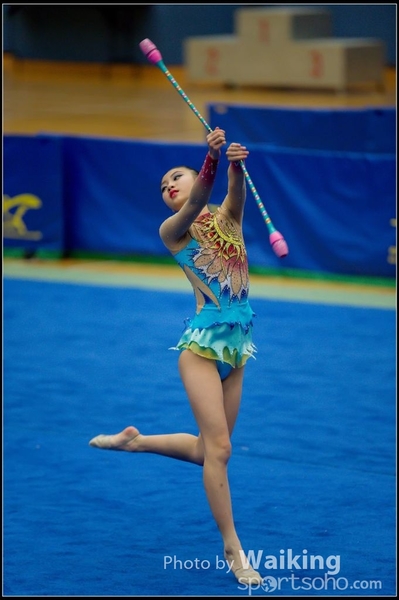 2015-11-15 Sticks 0128