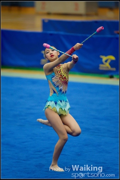 2015-11-15 Sticks 0129