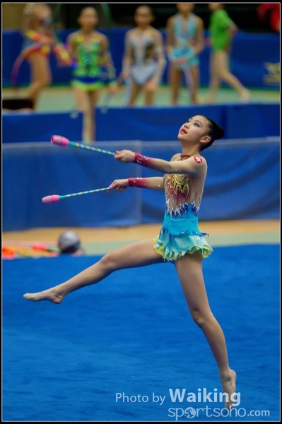 2015-11-15 Sticks 0130