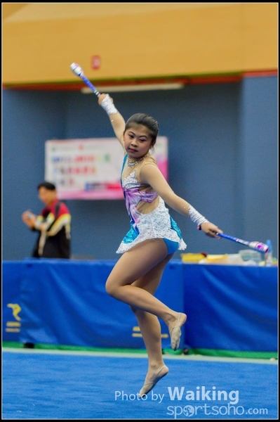 2015-11-15 Sticks 0150
