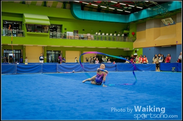 2015-11-15 Ribbon 0128