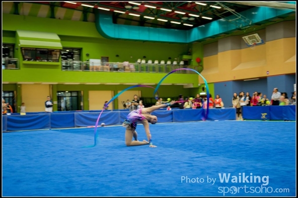 2015-11-15 Ribbon 0131