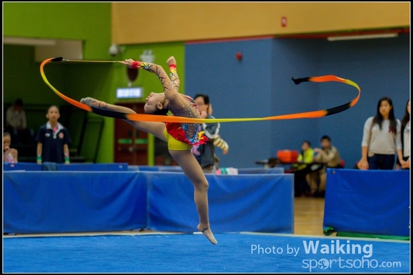 2015-11-15 Ribbon 0187