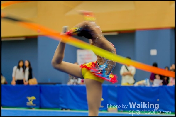 2015-11-15 Ribbon 0199