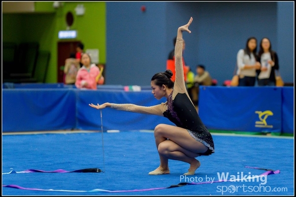 2015-11-15 Ribbon 0204