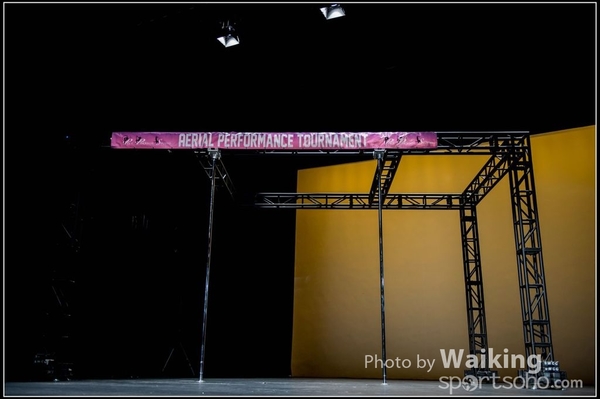 2015-11-19 Aerial Dance 0002