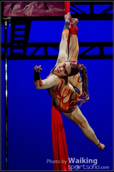 2015-11-19 Aerial Dance 0291