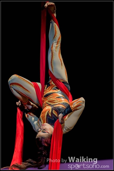 2015-11-19 Aerial Dance 0295