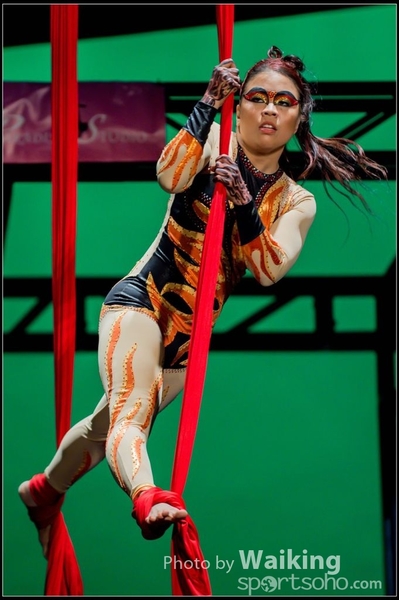 2015-11-19 Aerial Dance 0303
