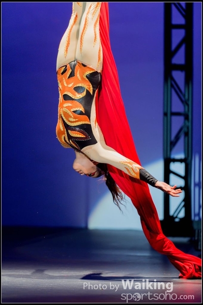 2015-11-19 Aerial Dance 0310