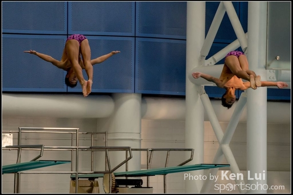 20151114 Diving236