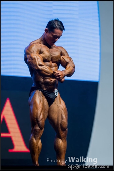 2015-11-25 Mr Olympia 0343