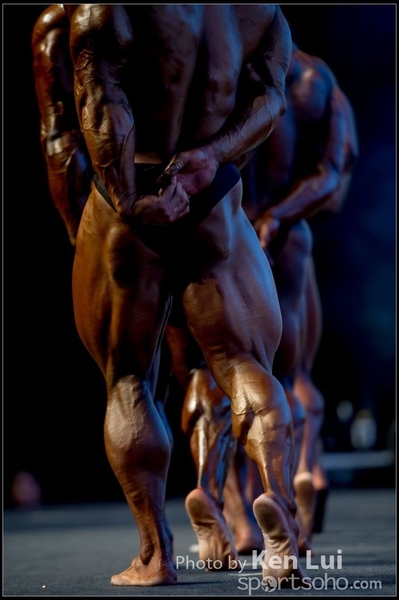 20151125Olympia302